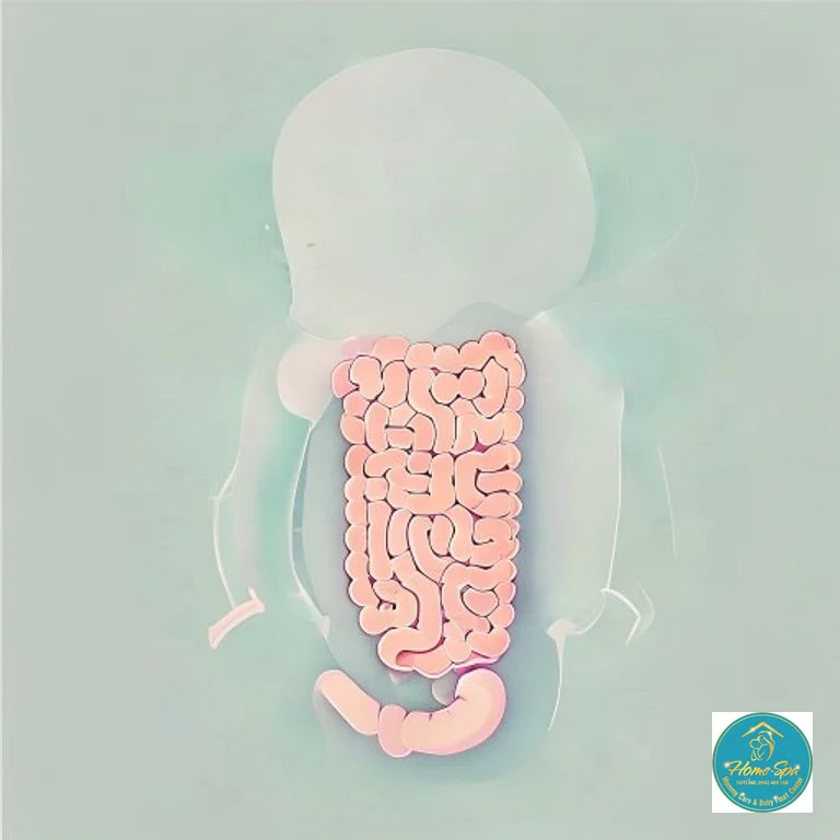 minimalist vector illustration of baby's healthy gut and digestive system, arrows showing improved peristalsis, soft pastel colors, 1024x1024
