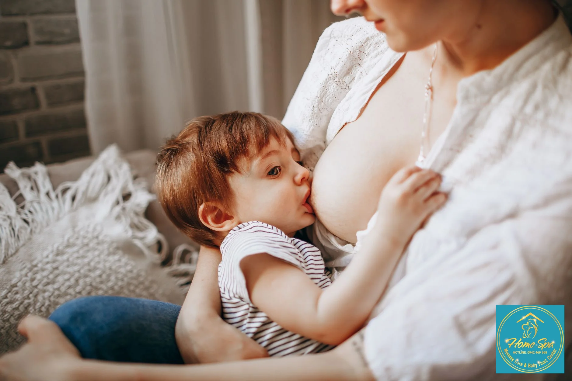 professional illustration showing the hormonal pathways of prolactin and oxytocin in breastfeeding, with clear labels for glands and their actions, 1024x1024